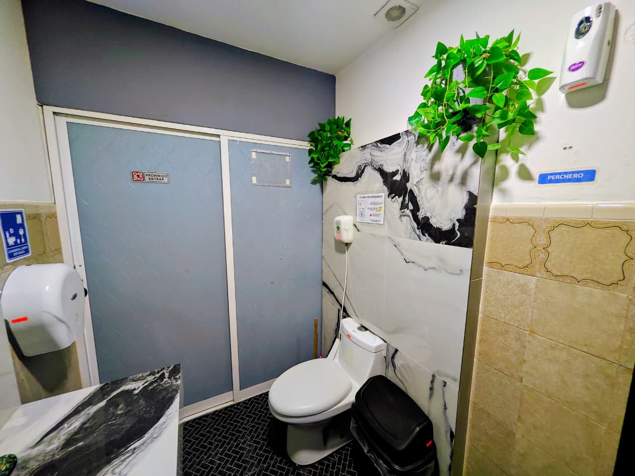 Sanitario de Alianza Centro de Estudios Médicos
